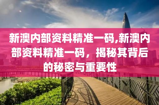 新澳内部资料精准一码,新澳内部资料精准一码，揭秘其背后的秘密与重要性