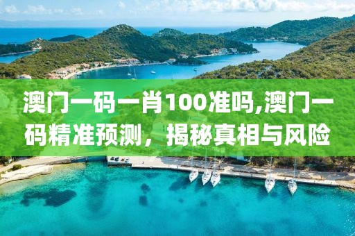 澳门一码一肖100准吗,澳门一码精准预测，揭秘真相与风险