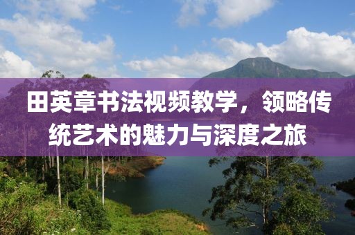 田英章书法视频教学，领略传统艺术的魅力与深度之旅