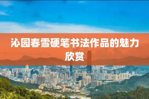 沁园春雪硬笔书法作品的魅力欣赏
