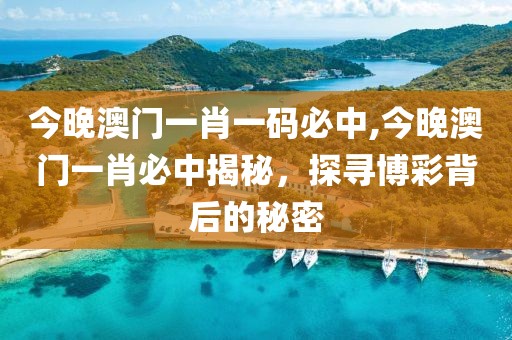 今晚澳门一肖一码必中,今晚澳门一肖必中揭秘，探寻博彩背后的秘密