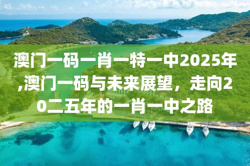 澳门一码一肖一特一中2025年,澳门一码与未来展望，走向20二五年的一肖一中之路