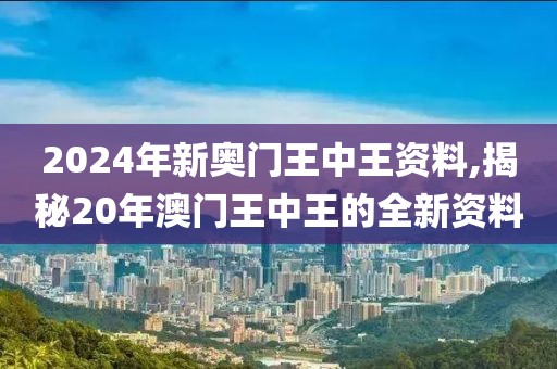 2024年新奥门王中王资料,揭秘20年澳门王中王的全新资料