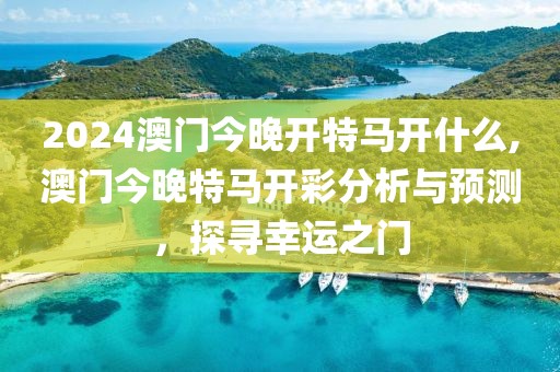 2024澳门今晚开特马开什么,澳门今晚特马开彩分析与预测，探寻幸运之门