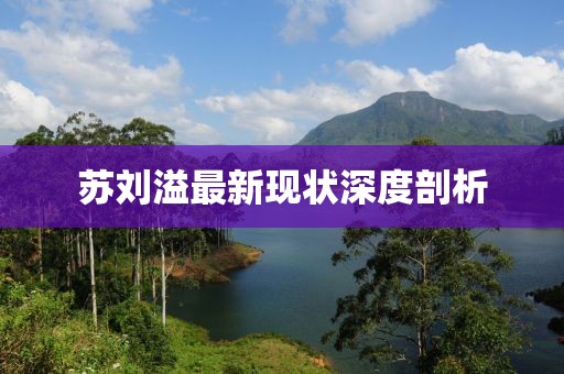 苏刘溢最新现状深度剖析