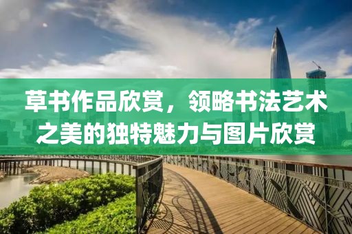 草书作品欣赏，领略书法艺术之美的独特魅力与图片欣赏