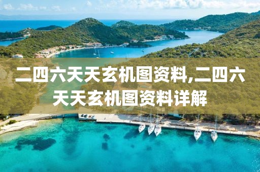 二四六天天玄机图资料,二四六天天玄机图资料详解