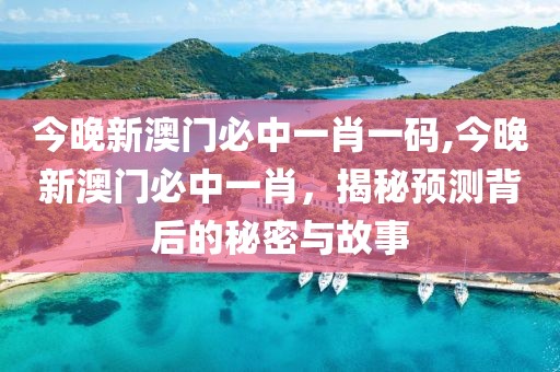 今晚新澳门必中一肖一码,今晚新澳门必中一肖，揭秘预测背后的秘密与故事