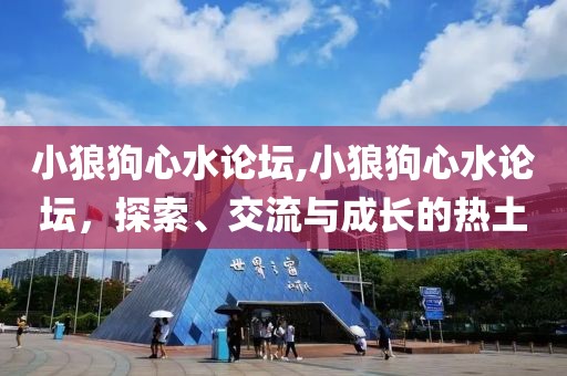 小狼狗心水论坛,小狼狗心水论坛，探索、交流与成长的热土