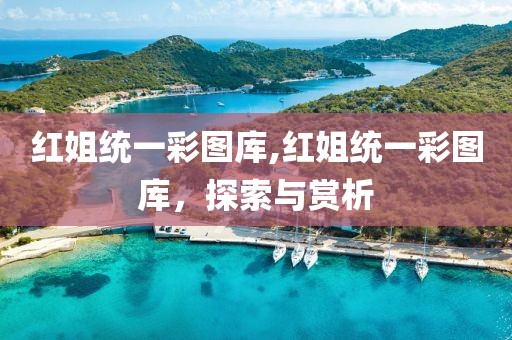 红姐统一彩图库,红姐统一彩图库，探索与赏析