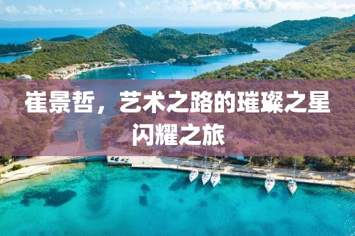 崔景哲，艺术之路的璀璨之星闪耀之旅