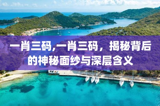一肖三码,一肖三码，揭秘背后的神秘面纱与深层含义