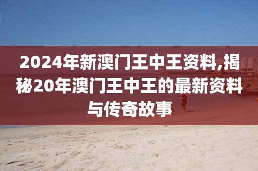2024年新澳门王中王资料,揭秘20年澳门王中王的最新资料与传奇故事