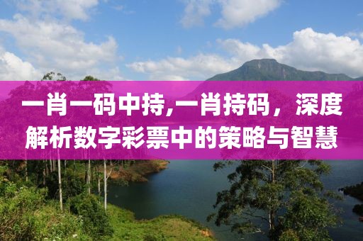 一肖一码中持,一肖持码，深度解析数字彩票中的策略与智慧