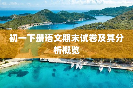 初一下册语文期末试卷及其分析概览