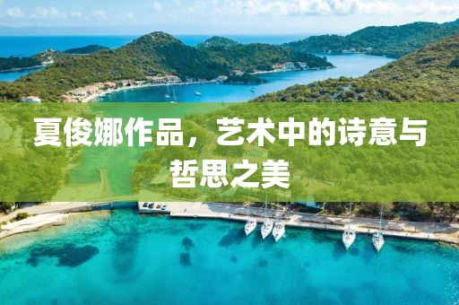 夏俊娜作品，艺术中的诗意与哲思之美