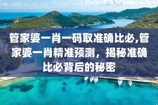 管家婆一肖一码取准确比必,管家婆一肖精准预测，揭秘准确比必背后的秘密