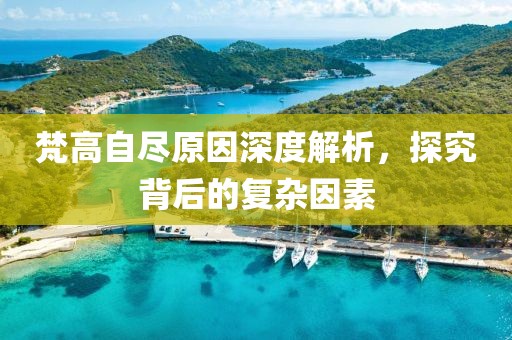 梵高自尽原因深度解析，探究背后的复杂因素