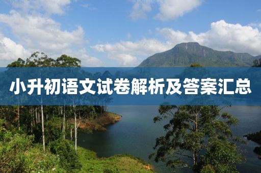小升初语文试卷解析及答案汇总