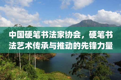 中国硬笔书法家协会，硬笔书法艺术传承与推动的先锋力量
