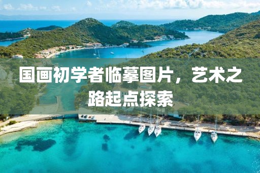国画初学者临摹图片，艺术之路起点探索