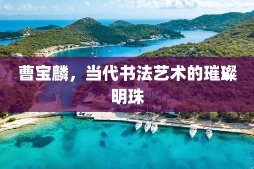 曹宝麟，当代书法艺术的璀璨明珠