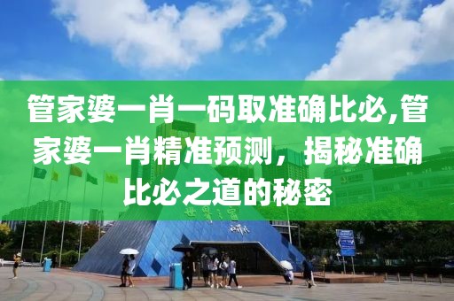 管家婆一肖一码取准确比必,管家婆一肖精准预测，揭秘准确比必之道的秘密
