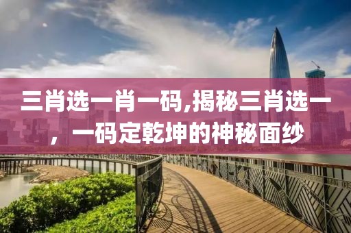 三肖选一肖一码,揭秘三肖选一，一码定乾坤的神秘面纱