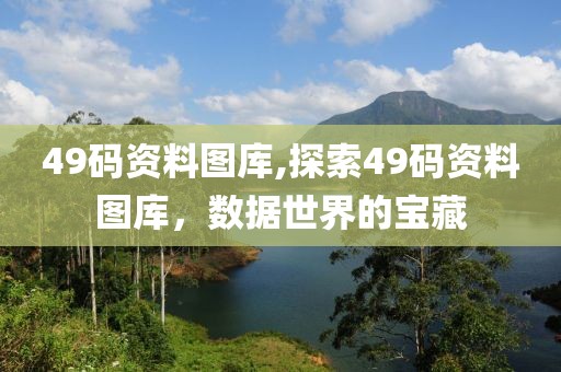 49码资料图库,探索49码资料图库，数据世界的宝藏