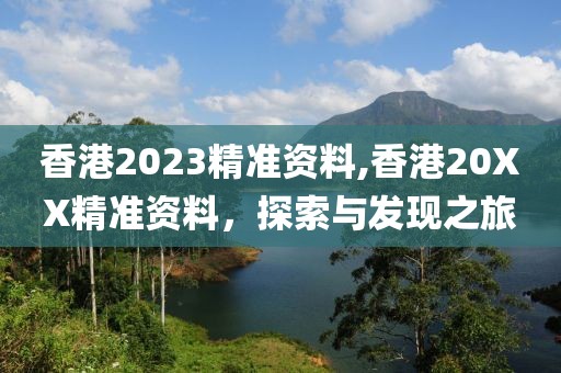 香港2023精准资料,香港20XX精准资料，探索与发现之旅