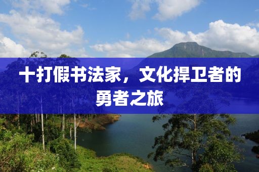 十打假书法家，文化捍卫者的勇者之旅