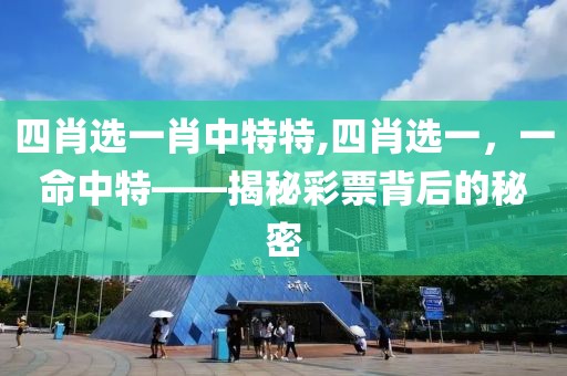 四肖选一肖中特特,四肖选一，一命中特——揭秘彩票背后的秘密