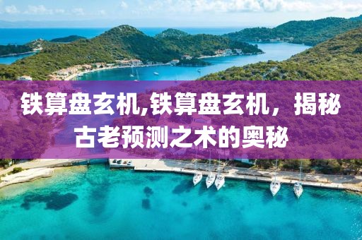 铁算盘玄机,铁算盘玄机，揭秘古老预测之术的奥秘