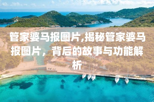 管家婆马报图片,揭秘管家婆马报图片，背后的故事与功能解析