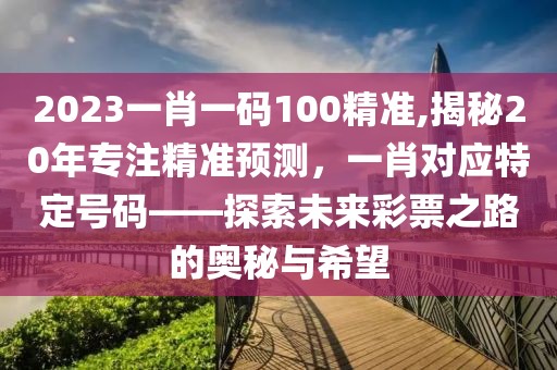 2023一肖一码100精准,揭秘20年专注精准预测，一肖对应特定号码——探索未来彩票之路的奥秘与希望