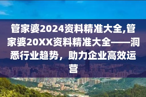 管家婆2024资料精准大全,管家婆20XX资料精准大全——洞悉行业趋势，助力企业高效运营