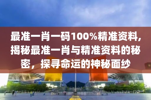 最准一肖一码100%精准资料,揭秘最准一肖与精准资料的秘密，探寻命运的神秘面纱