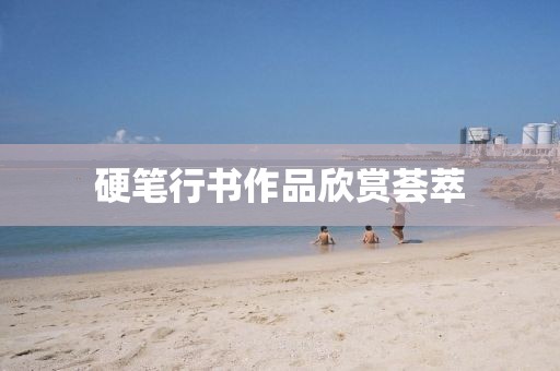 硬笔行书作品欣赏荟萃