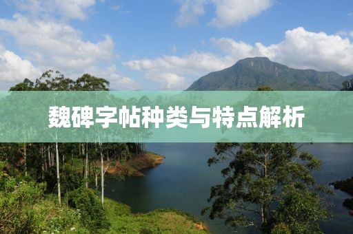 2025年2月 第73页