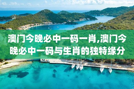 澳门今晚必中一码一肖,澳门今晚必中一码与生肖的独特缘分