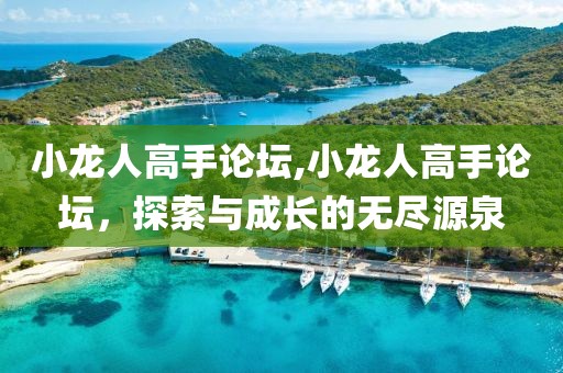 小龙人高手论坛,小龙人高手论坛，探索与成长的无尽源泉