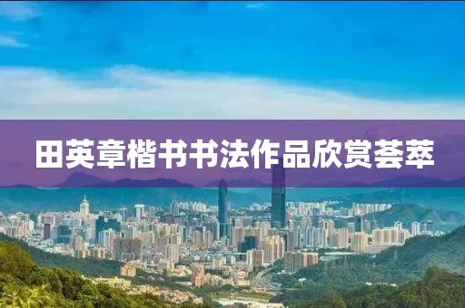 田英章楷书书法作品欣赏荟萃