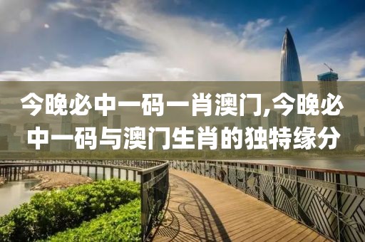 今晚必中一码一肖澳门,今晚必中一码与澳门生肖的独特缘分