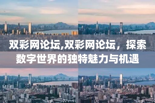 双彩网论坛,双彩网论坛，探索数字世界的独特魅力与机遇