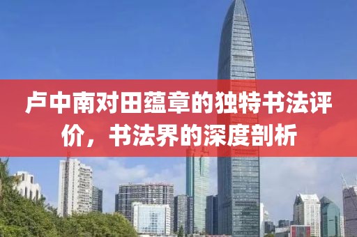 卢中南对田蕴章的独特书法评价，书法界的深度剖析