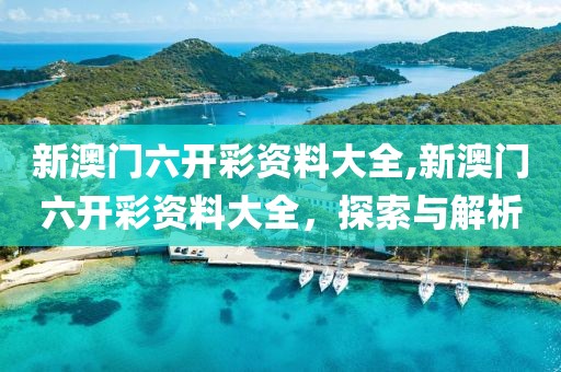 新澳门六开彩资料大全,新澳门六开彩资料大全，探索与解析
