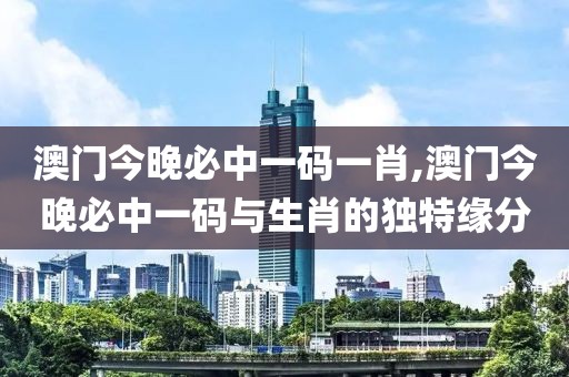 澳门今晚必中一码一肖,澳门今晚必中一码与生肖的独特缘分