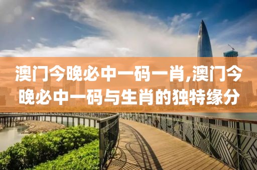 澳门今晚必中一码一肖,澳门今晚必中一码与生肖的独特缘分
