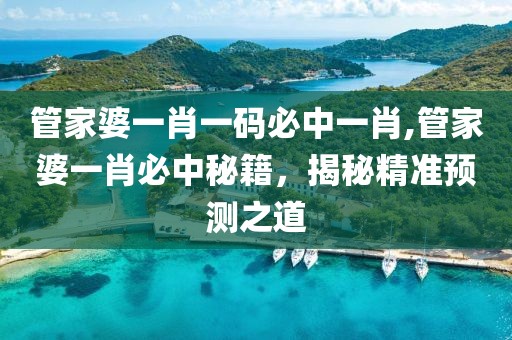 管家婆一肖一码必中一肖,管家婆一肖必中秘籍，揭秘精准预测之道