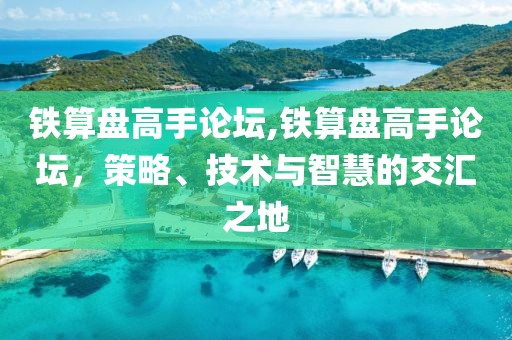 铁算盘高手论坛,铁算盘高手论坛，策略、技术与智慧的交汇之地